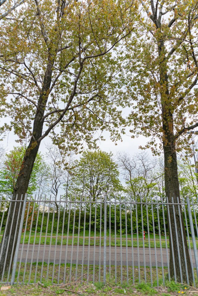 Powder-coated clear view fence colours